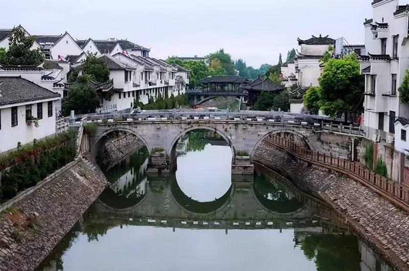 什么动物能打过狮子?游戏画面
